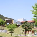 정읍사공원 유아숲체험원 이미지