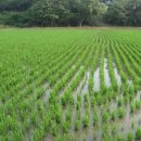 춘포면-01 이미지