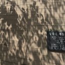 어플랜트숲 이미지