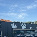 발바닥애견카페 이미지