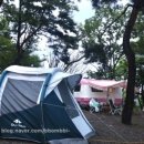 강화도아침숲속캠핑장 이미지