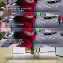 김치남 - 순천시 | 김치남