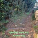 남원읍-95 이미지