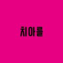 닥터케어스