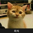 Im(아이엠) 이미지