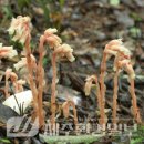 한라전설(주) 이미지