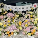 널;조화해 이미지