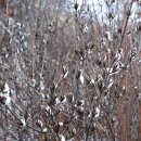 [12월 송년산행] 눈발이 흩날리는 날....차가운 산 길 위로 뒹구는 낙엽을 밟으며 올라선 검단산. 이미지