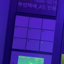 무장전자