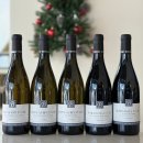 서판교로44번길 이미지