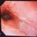 혜광편작한의원 이미지