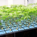 수분경로당 이미지