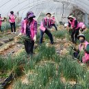 광산-평동-광산-35 이미지