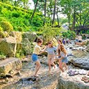 원선1로 | [2026 최신] 예약 폭주! 2~3만원선 계곡이나 테마 산책로 다 갖춘 경기 남부 레전드 휴양림 BEST 3...