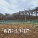 예산 수덕사 인근 숲세권 힐링 토지 484평/ 1억4000만원 이미지