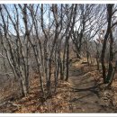 영남초교 이미지