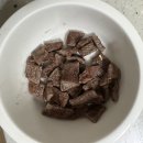 현풍동물병원 | 강아지 암컷 중성화 수술후기_현풍 도담동물병원 중성화