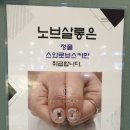 노브살롱 이미지