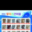 가자무지개건어물