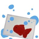 오이소이스튜디오