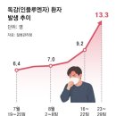 2026년 9월 11일 신문을 통해 알게 된 것들 이미지