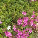 11590-다1-2 이미지