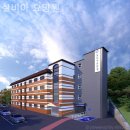 실비아 | 신사동요양원 실비아 요양원 생생후기