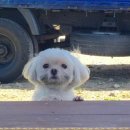 NR-7[통신사로]-하-11 | 마참내.. 일본에~ 도착을~ 했습니다~! [일본/오사카 워킹홀리데이 Week 1 - Day1~7]