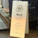 오얏 | 백오얏 노원역 근처 예쁜 카페 ‘백오얏’ 방문 후기