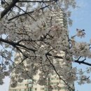 창제한의원 이미지