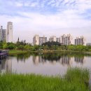 상동호수공원 이미지