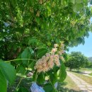 헤라노래연습장 | 팔공산 부인사 뒷산 '마당재'. 우리는 좋은 팀이다(M 클럽 '26. 5. 18. 제18화)