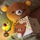 남극곰 무인카페 | 세종 베어트리파크 방문 내돈내산 솔직후기 (feat. 곰들 먹이주기)