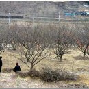 원동마을길 이미지