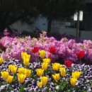 금주초 | 2017년 6월 18일 사주풀이 후기