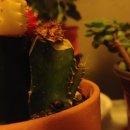 세자매마트 이미지