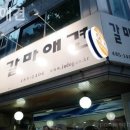 갈마애견 이미지