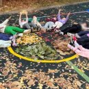 삼평(병설)유치원 이미지