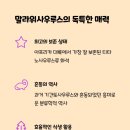 말라위사우루스 이미지