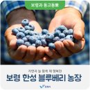 늘행복한농장 이미지