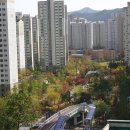 기흥호수 공인중개사사무소 이미지