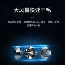 스마트 애견 이미지