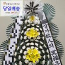 김해꽃배달