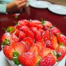 안성조명 | 안성 주문 케이크 진사리 제이델링 겨울 감성 가득 딸기폭탄 크리스마스 케이크 후기