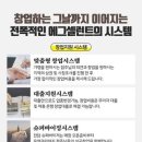 에그셀런트 이미지