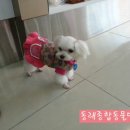 동래종합동물병원 이미지