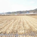 별량면 행정복지센터 이미지