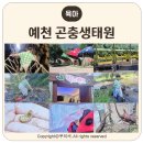 곤충생태원내 화장실(무당벌레) | 예천 곤충생태원 아이와 하루 코스 모노레일 후기