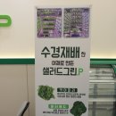 동탄 샐러드맛집 샐러드그린피 동탄CK센터 방문포장 후기!