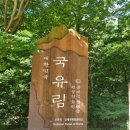 진동리주차장2(주차장 내) 네이버블로그